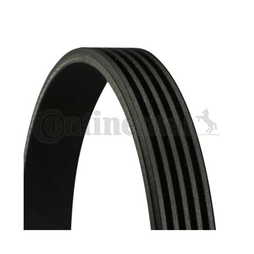 아우디 A6 4.2 FSI 4F 04-11년 CONTINENTAL 팬벨트 4M2G