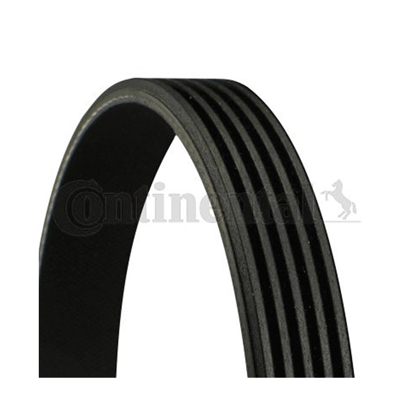 아우디 R8 5.2 FSI 42 07-15년 CONTINENTAL 팬벨트 PQB4