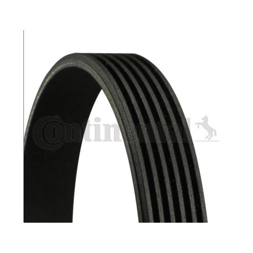 BMW 325i E46 00-05년 CONTINENTAL 팬벨트 EGBW