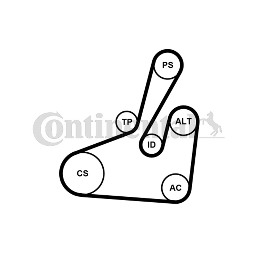 푸조 807 2.0 02-현재 CONTINENTAL 팬벨트 세트 17N8