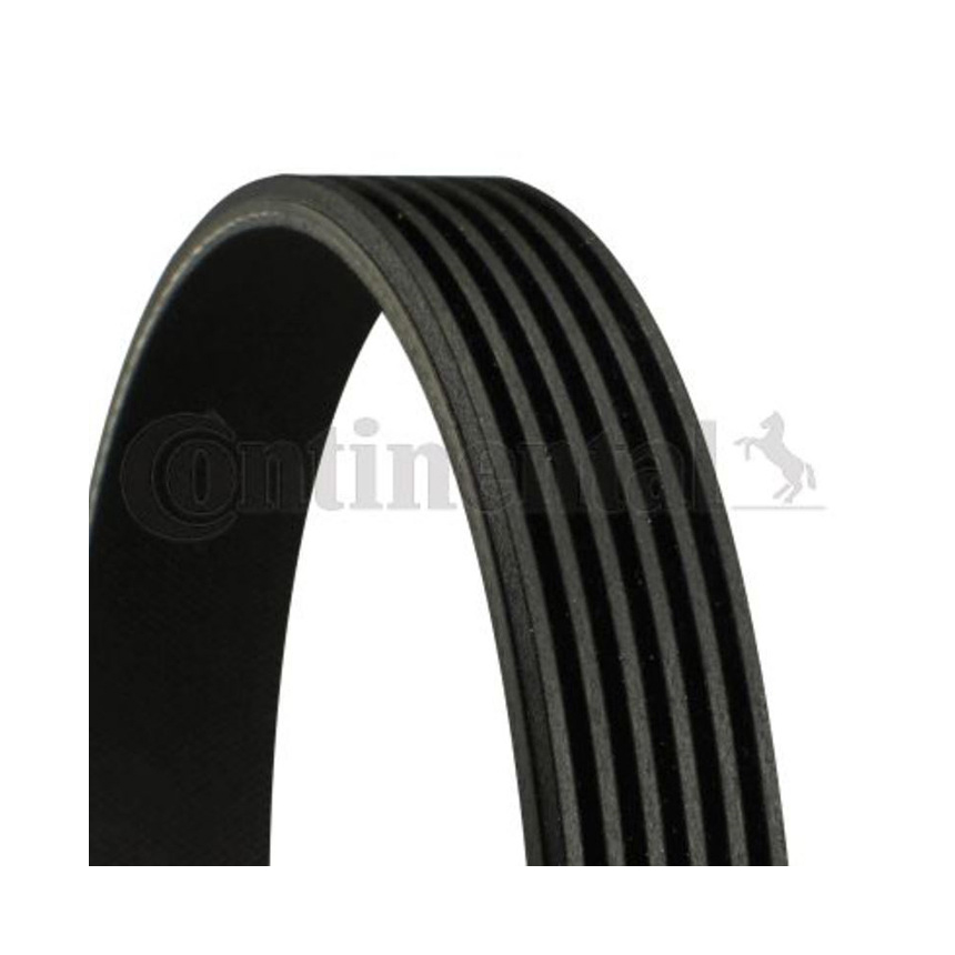 아우디 A6 2.4 4F 05-11년 CONTINENTAL 팬벨트 NE0H
