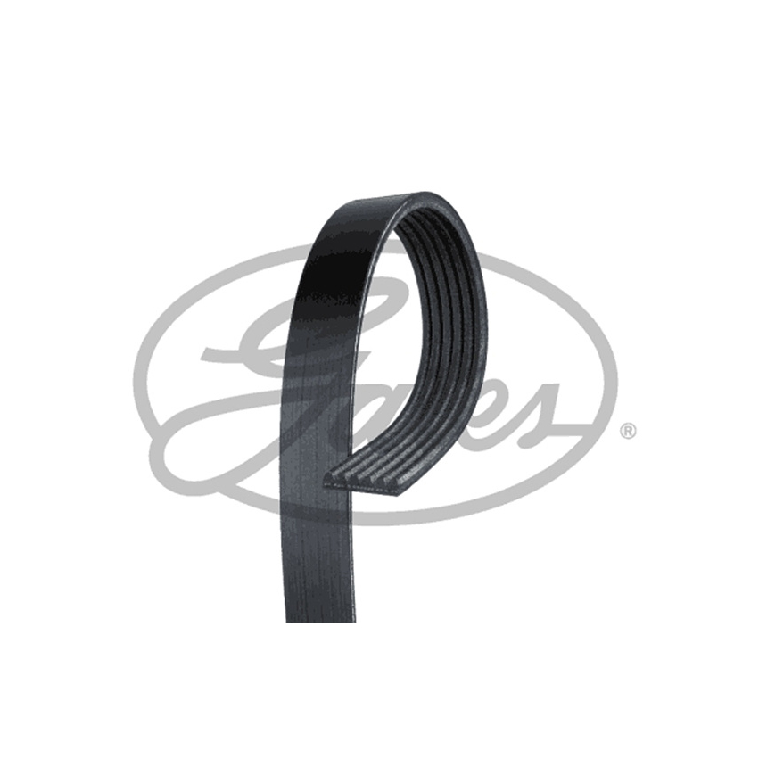 랜드로버 레인지로버 스포츠 3.0 D L320 05-13년 GATES 팬벨트 5P3P