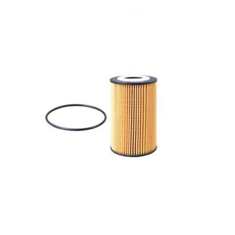 BMW 325i E46 00-05년 MAHLE 엔진오일필터 DQO2