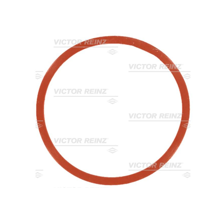 BMW X5 30d E70 08-13년 REINZ 매니폴드 가스켓 AGJC